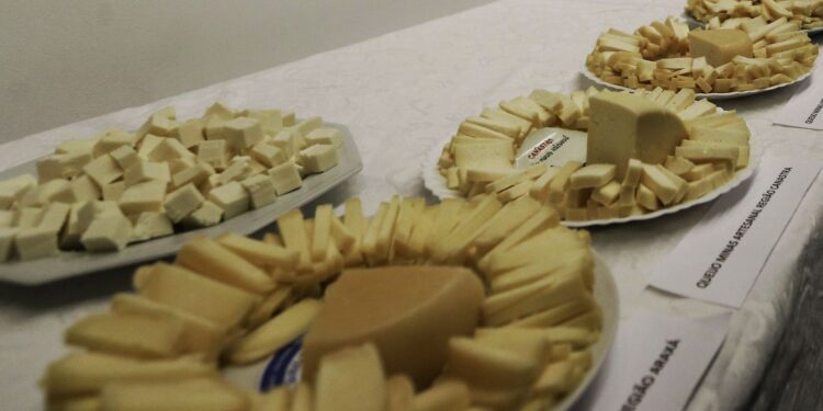Brasil começa a importar queijo mais barato após acordo Mercosul–UE