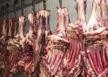 China suspende três frigoríficos brasileiros após irregularidades