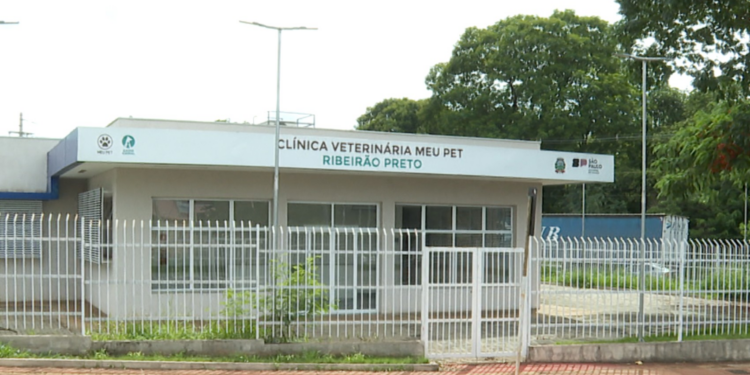 Especialidades, agendamentos: como vai funcionar a clínica veterinária pública de Ribeirão Preto