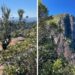 Trilha do Pico do Corcovado, em Ubatuba, é reaberta após 2 anos com novas regras e monitoria indígena