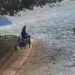Homem é multado em R$ 21 mil por envenenar cães de rua no interior de SP