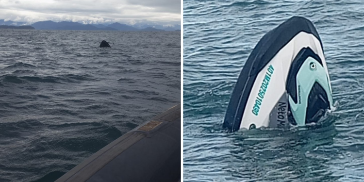Marinha abre inquérito para investigar acidente de moto aquática em Ilhabela após mulher passar 42 horas à deriva