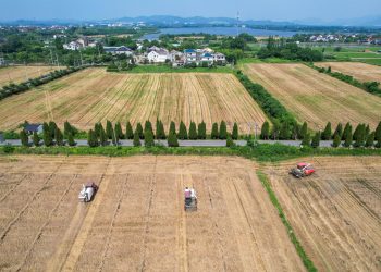 Plano chinês ameaça agronegócio brasileiro – 07/06/2026 – Economia