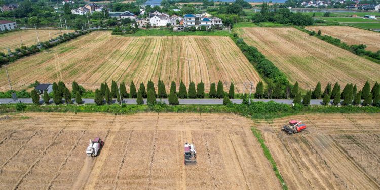 Plano chinês ameaça agronegócio brasileiro – 07/06/2026 – Economia