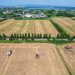 Plano chinês ameaça agronegócio brasileiro – 07/06/2026 – Economia